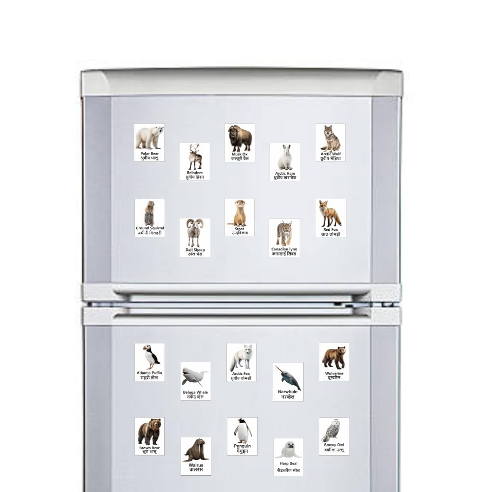 Arctic Animal Magnet Set 20 | Educational Fridge Magnets for Kids | Polar Bear, Reindeer, Arctic Fox, Penguin & More | Learning Toy for Home, School & Classroom Decor (4x5 cm)