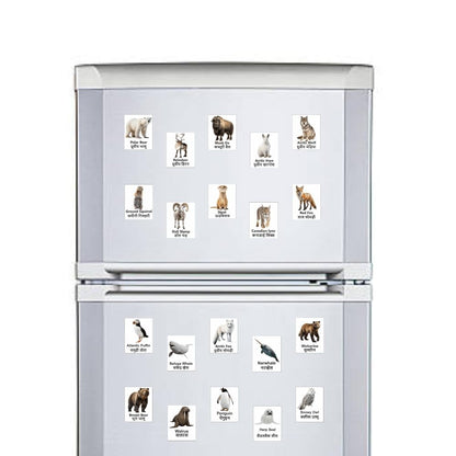 Arctic Animal Magnet Set 20 | Educational Fridge Magnets for Kids | Polar Bear, Reindeer, Arctic Fox, Penguin & More | Learning Toy for Home, School & Classroom Decor (4x5 cm)