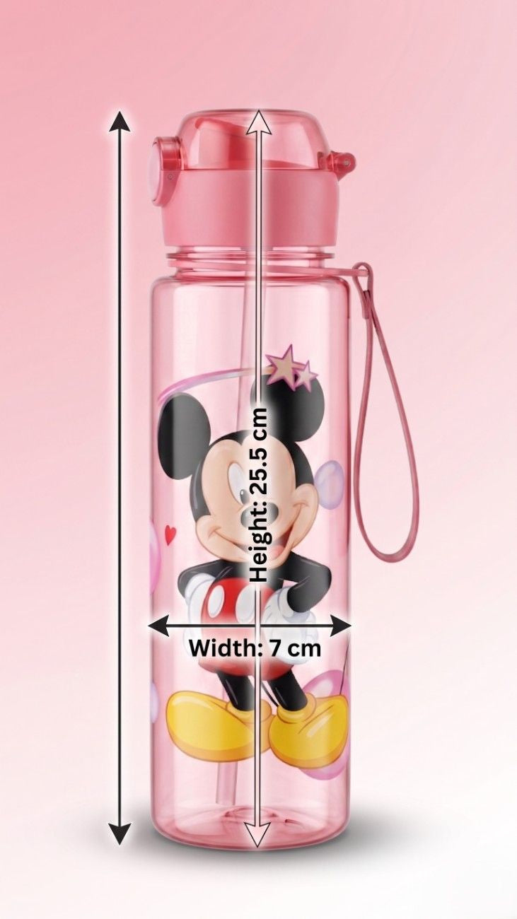Water Bottle 1 Pc | Superhero, Princess, Cartoon Mouse Design | Leakproof | BPA Free 500ml