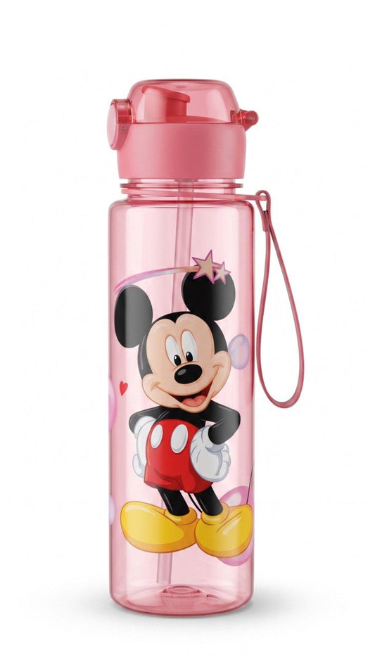 Water Bottle 1 Pc | Superhero, Princess, Cartoon Mouse Design | Leakproof | BPA Free 500ml
