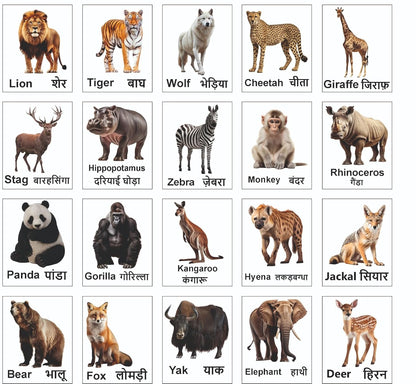 Wild Animal Magnet Set 20 | Educational Fridge Magnets for Kids | Lion, Tiger, Elephant, Zebra, Giraffe & More | Learning Toy for Preschool, Home & Classroom Décor (4x5 cm)