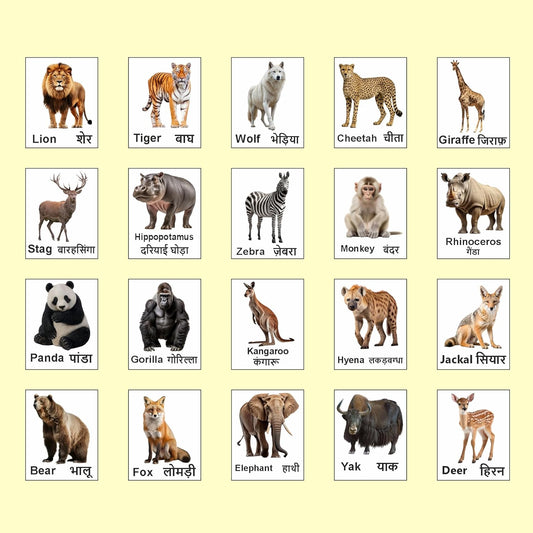 Wild Animal Magnet Set 20 | Educational Fridge Magnets for Kids | Lion, Tiger, Elephant, Zebra, Giraffe & More | Learning Toy for Preschool, Home & Classroom Décor (4x5 cm)