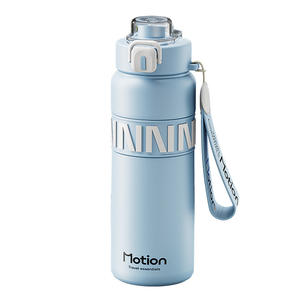 Insulated Water Bottle with Lock Lid – Leakproof Travel Bottle | BPA Free Sports Water Bottle | Portable Outdoor Bottle 800ML
