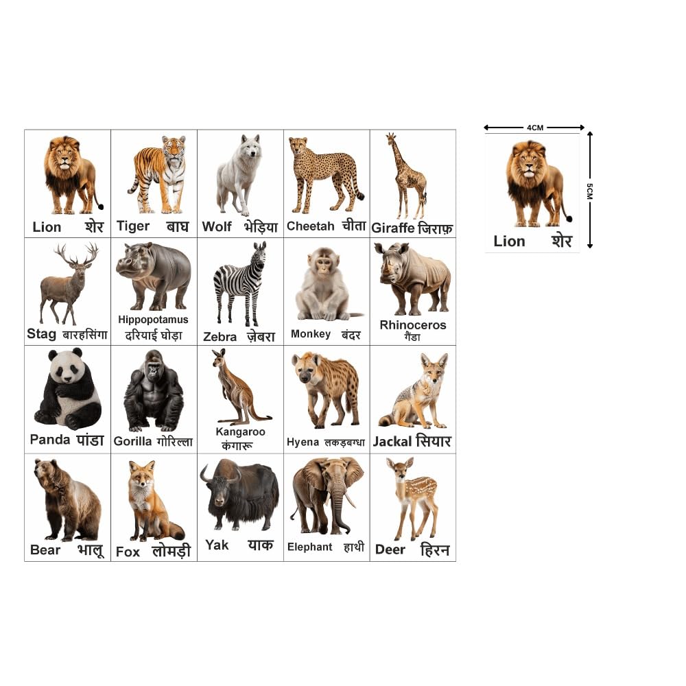 Wild Animal Magnet Set 20 | Educational Fridge Magnets for Kids | Lion, Tiger, Elephant, Zebra, Giraffe & More | Learning Toy for Preschool, Home & Classroom Décor (4x5 cm)