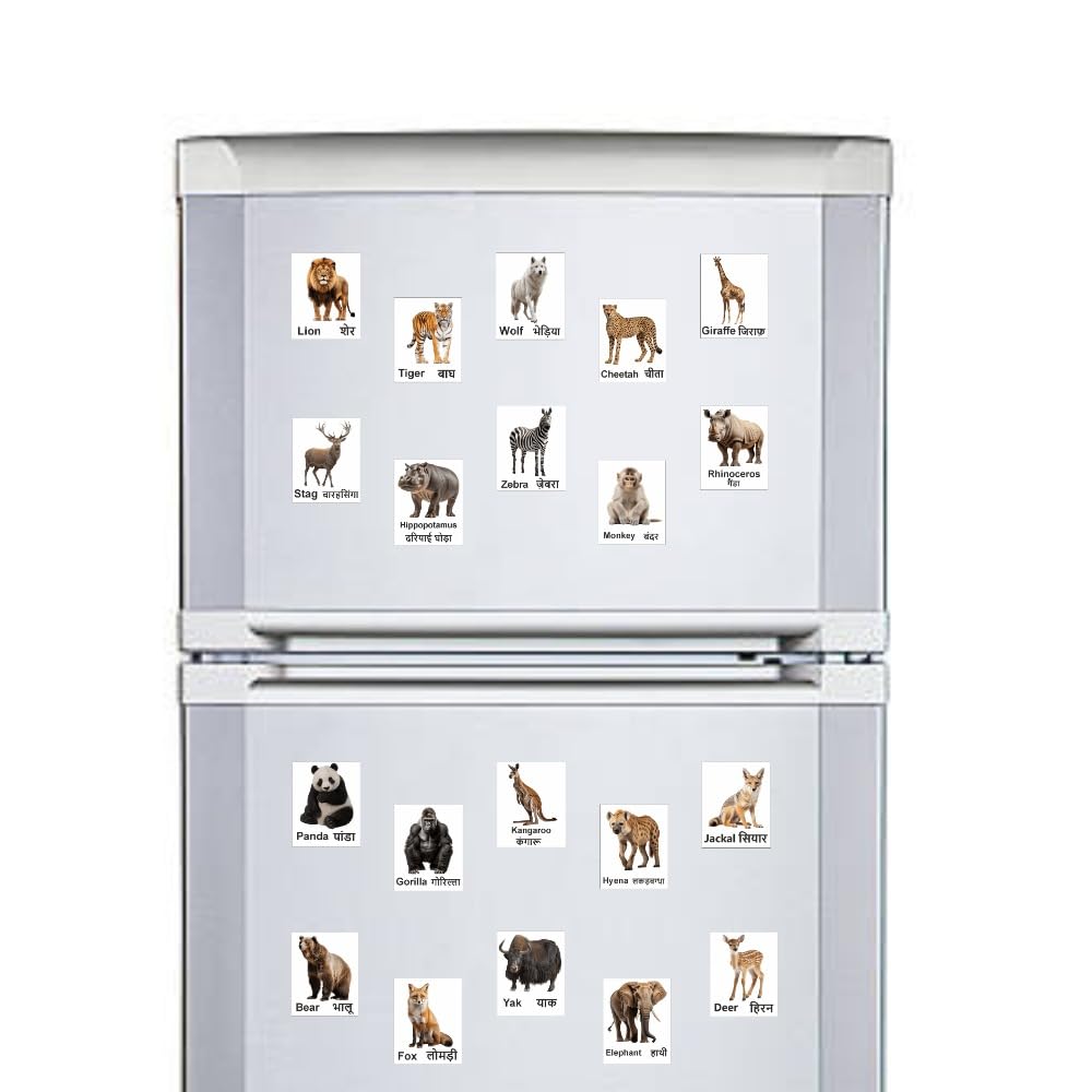 Wild Animal Magnet Set 20 | Educational Fridge Magnets for Kids | Lion, Tiger, Elephant, Zebra, Giraffe & More | Learning Toy for Preschool, Home & Classroom Décor (4x5 cm)