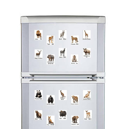 Wild Animal Magnet Set 20 | Educational Fridge Magnets for Kids | Lion, Tiger, Elephant, Zebra, Giraffe & More | Learning Toy for Preschool, Home & Classroom Décor (4x5 cm)