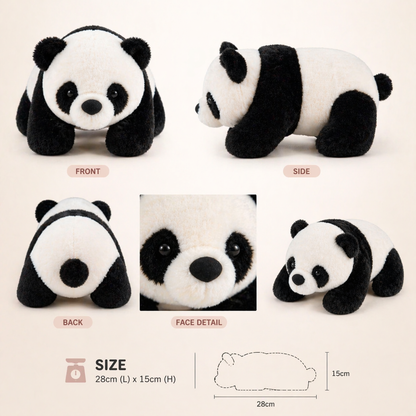 Panda Piku Soft Toy – 28cm Cute Panda Plush Toy for Kids, Ultra Soft & Huggable Teddy, Gift for Boys & Girls