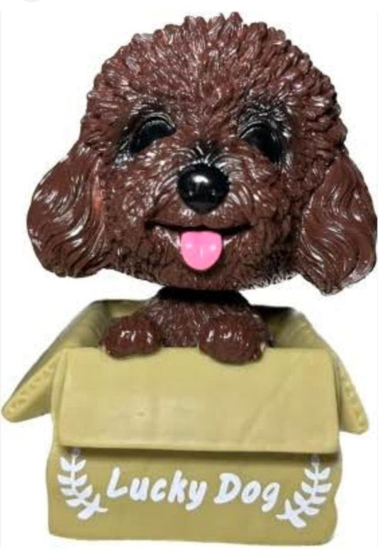 Lucky Dog PVC Bobble Head | Design C |